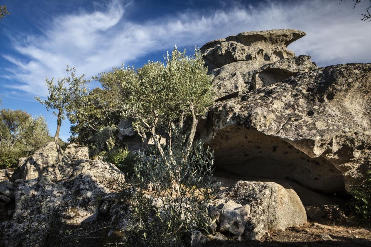 Gallicantu Stazzo Retreat Luogosanto Buitenkant foto