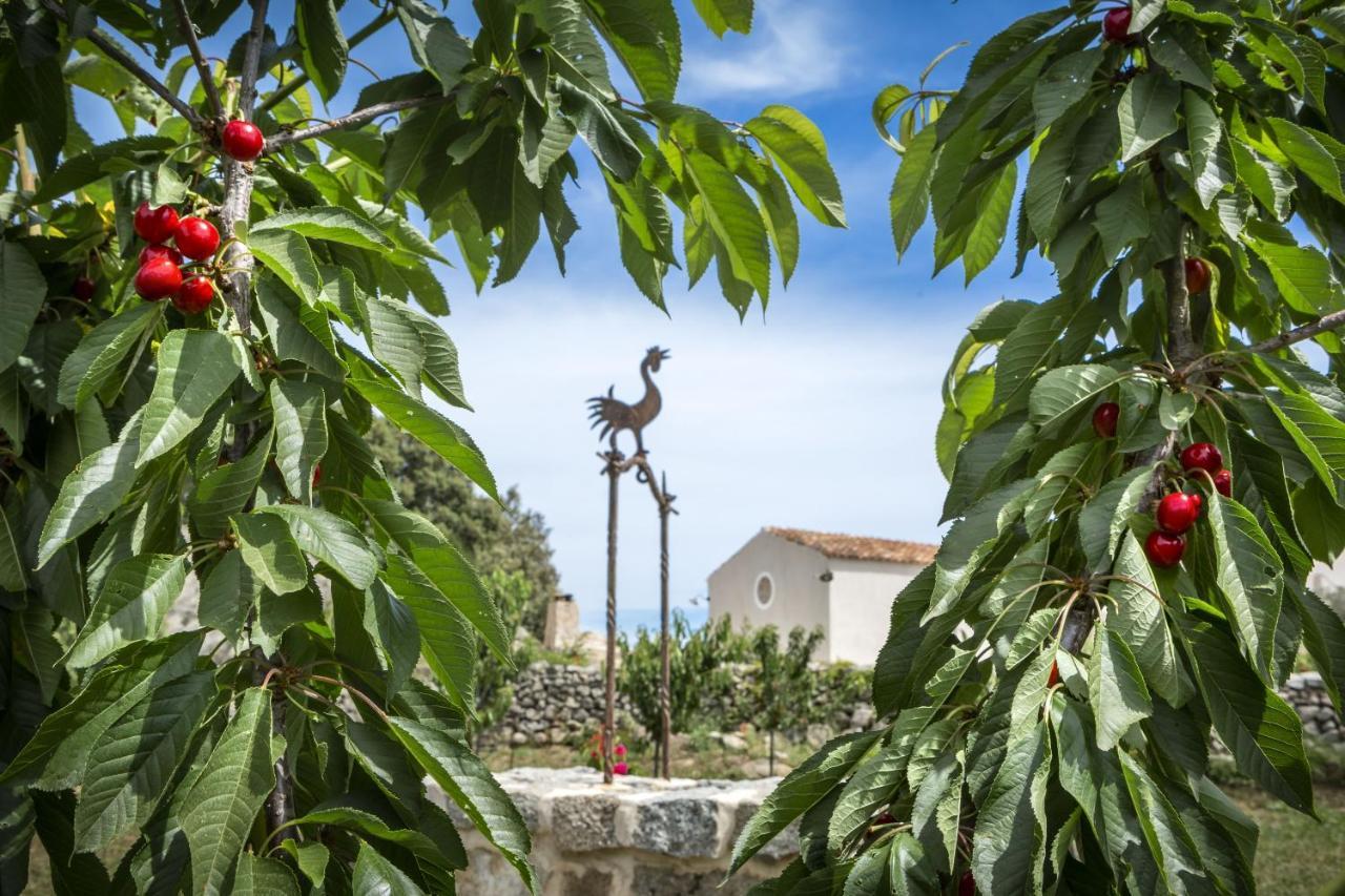 Gallicantu Stazzo Retreat Luogosanto Buitenkant foto