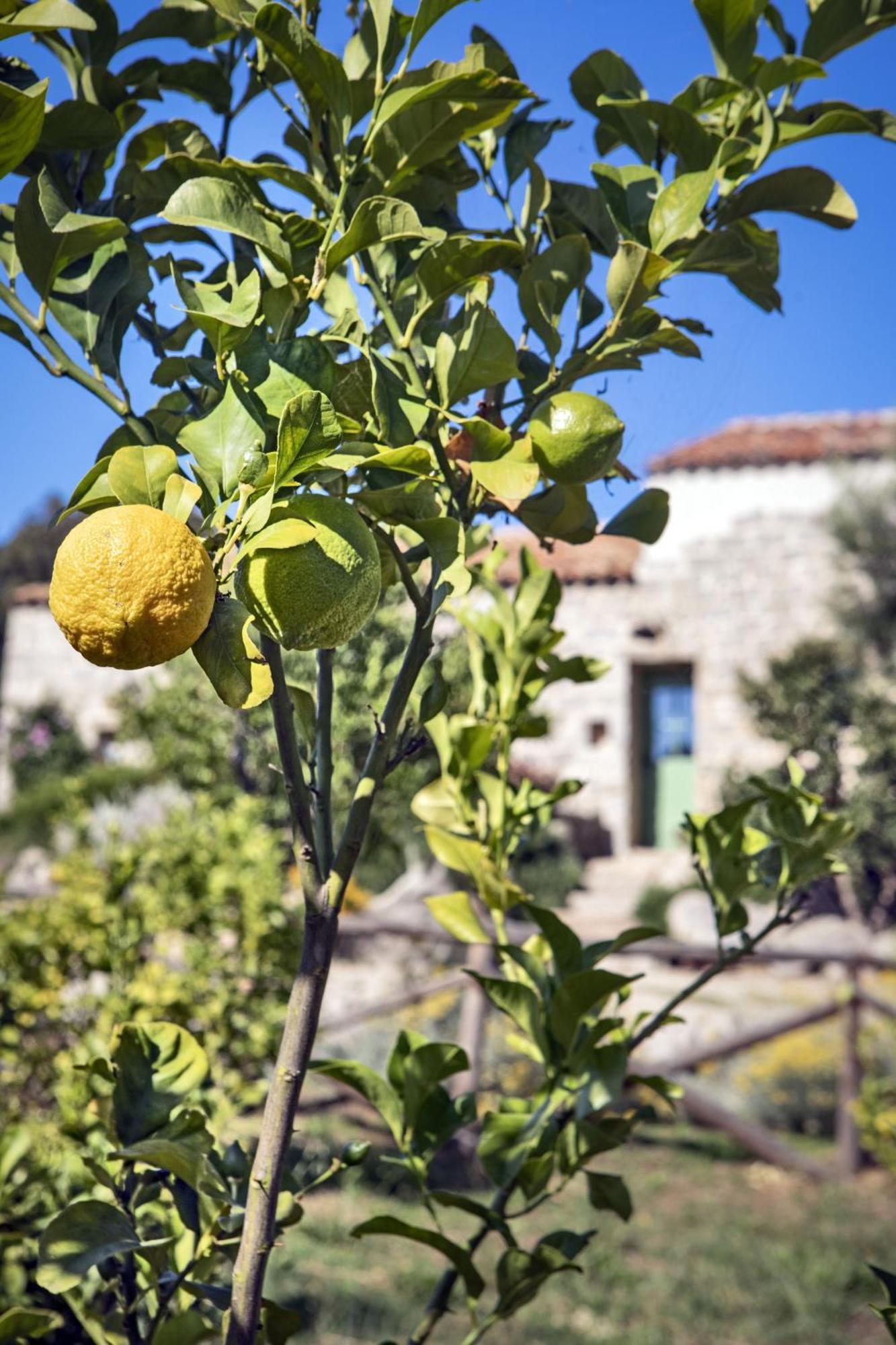 Gallicantu Stazzo Retreat Luogosanto Buitenkant foto